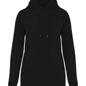 Native Spirit Ladies Raglan Sleeve Hoodie