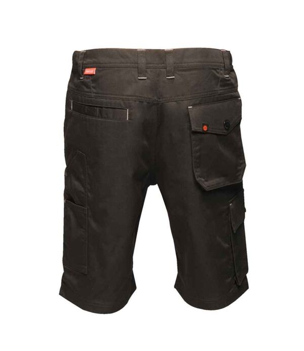 Regatta Heroic Cargo Shorts