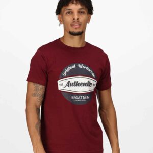 Regatta Original Workwear T-Shirt